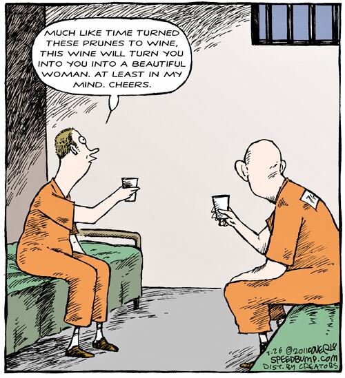 Obrázek PrisonWine - joke cartoon