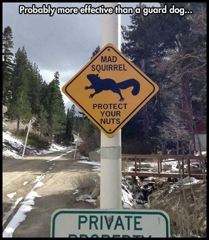 Obrázek Probably&nbsp;More&nbsp;Effective