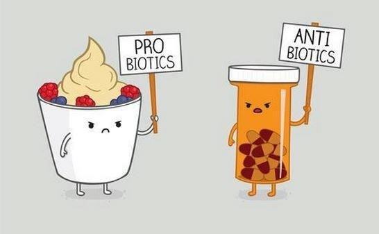 Obrázek Probiotics