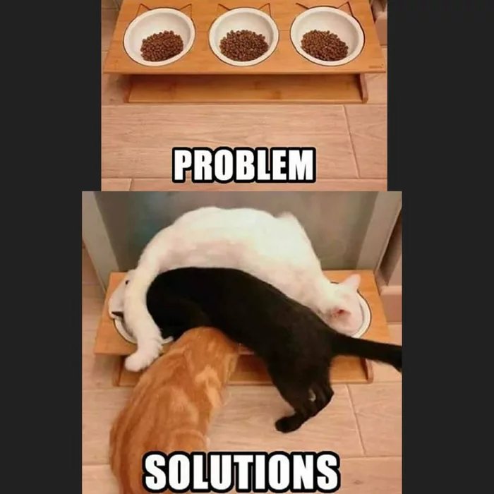 Obrázek Problem x solution acording to cats