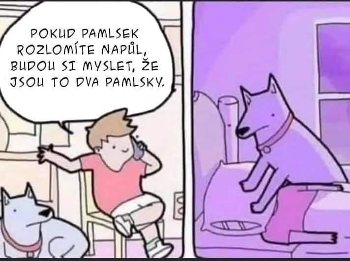 Obrázek Psi pamlsk