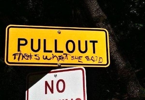 Obrázek Pull Out
