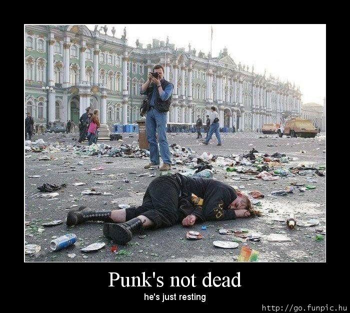 Obrázek PunksNotDead