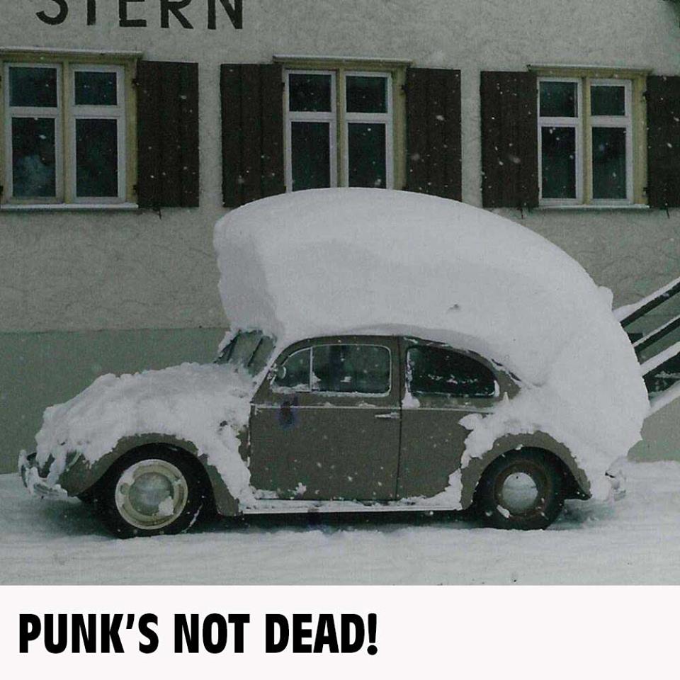 Obrázek Punks not dead
