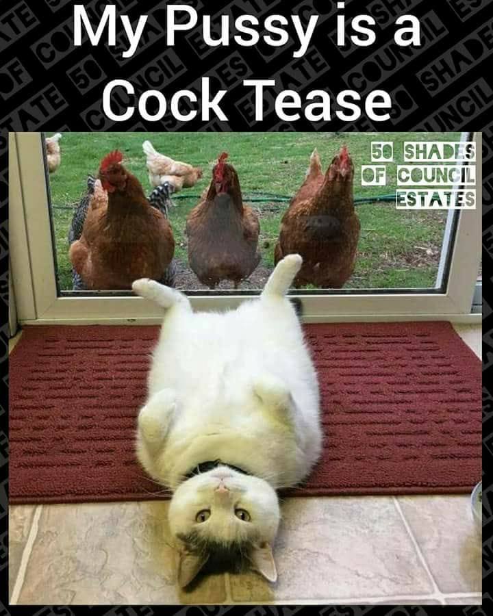 Obrázek Pussy teasing cock
