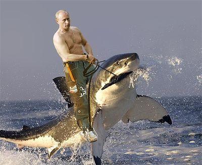 Obrázek Putin ve chvili volna