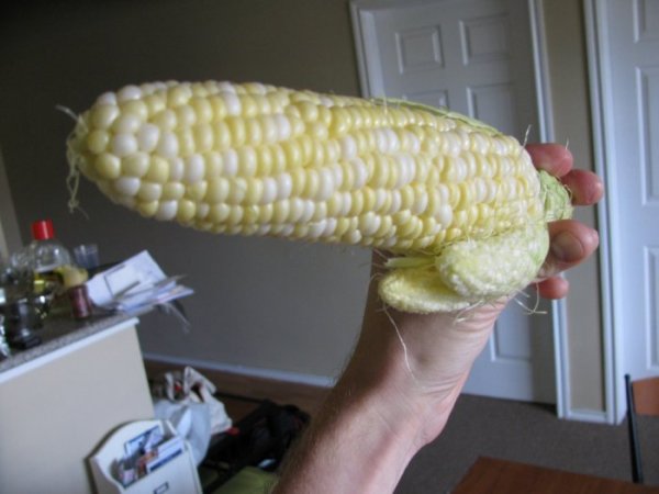 Obrázek Pyjo kukurice