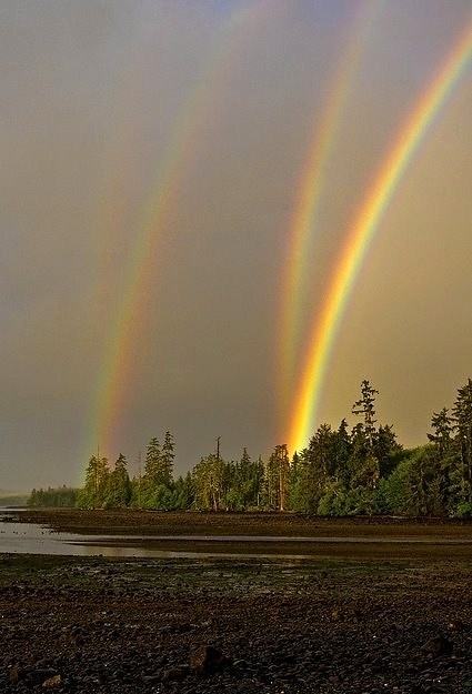 Obrázek Quadruple Rainbow All the Way - 04-05-2012