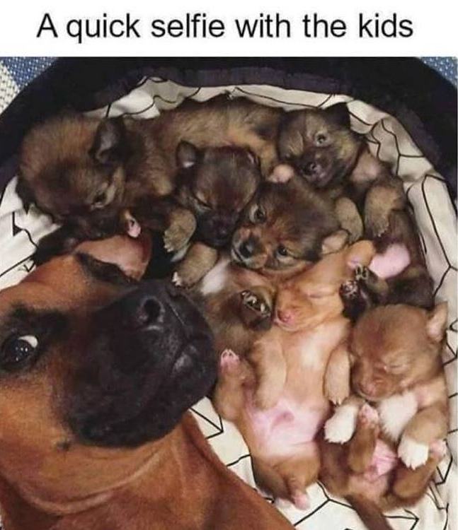 Obrázek Quick Selfie With The Kids