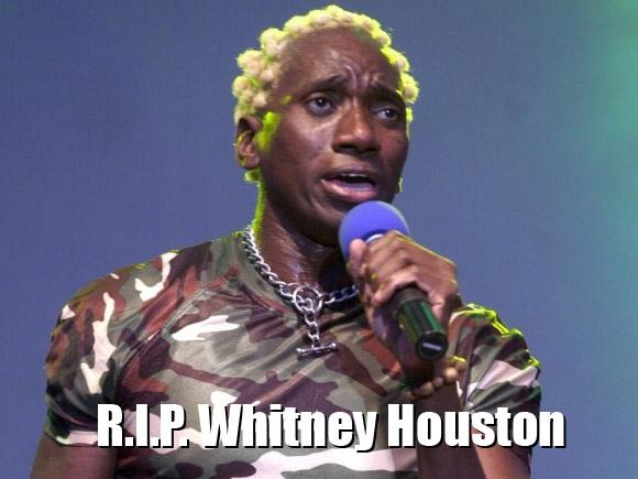 Obrázek R.I.P. Whitney Houston