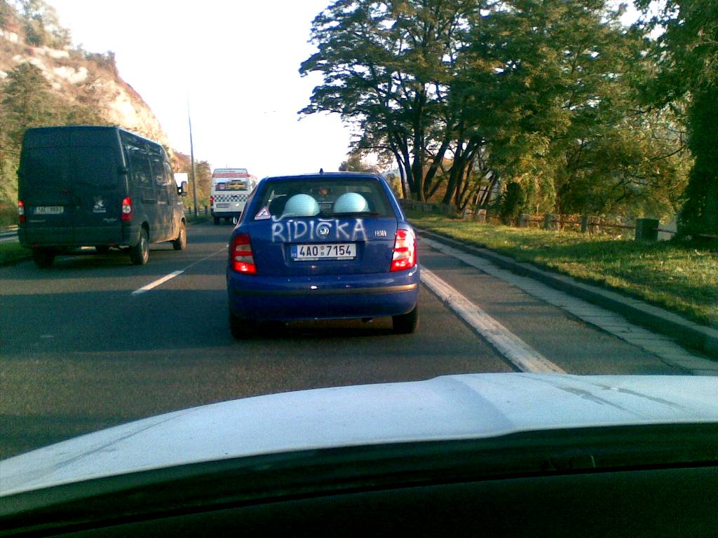 Obrázek RIDICKA