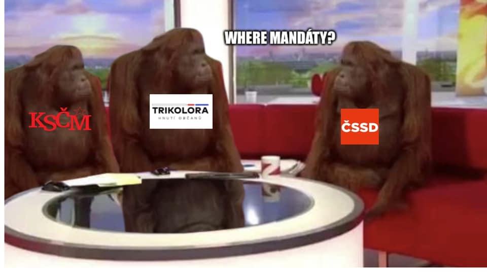 Obrázek RIP orangutani