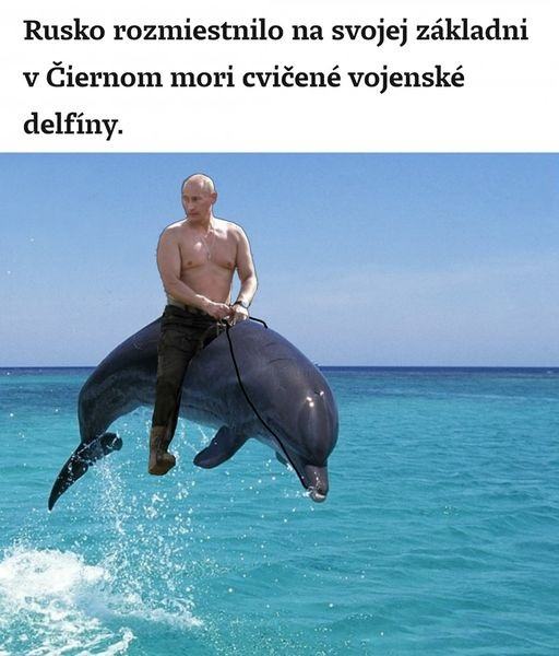 Obrázek RUSKE DELFINY