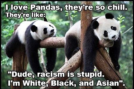 Obrázek Racism is stupid 21-01-2012