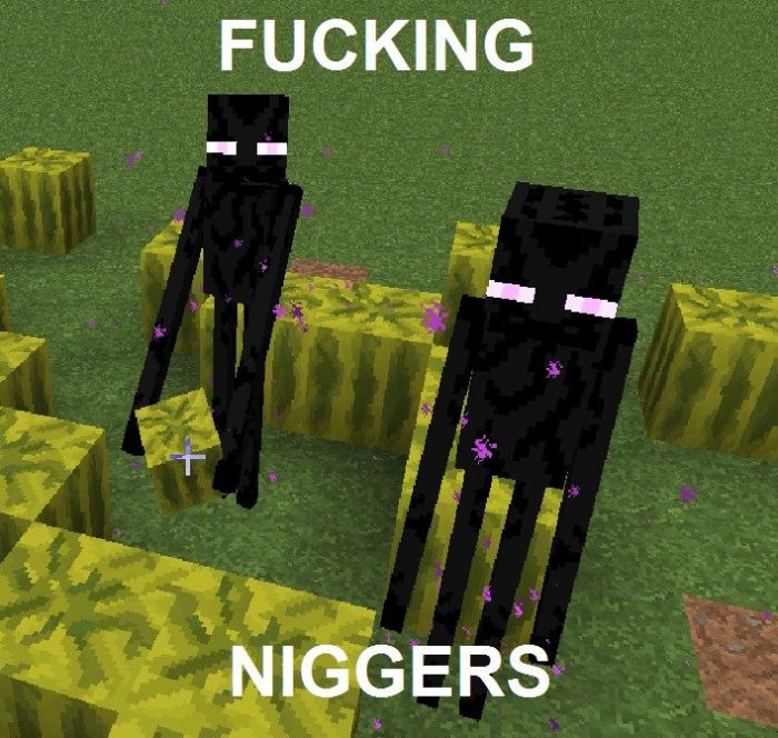 Obrázek Racist Minecraft