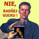 Obrázek Radsej gulku