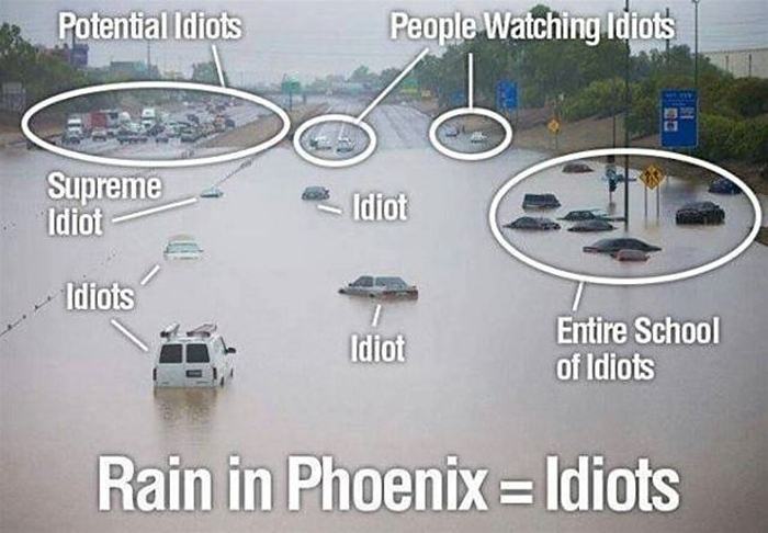 Obrázek Rain Idiots