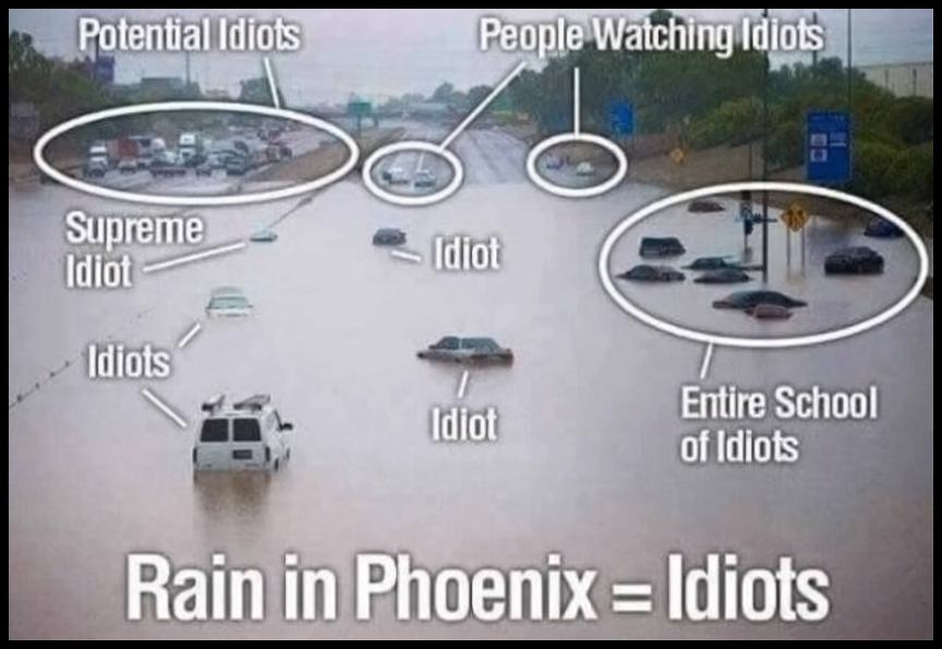 Obrázek Rain In PhoeniX