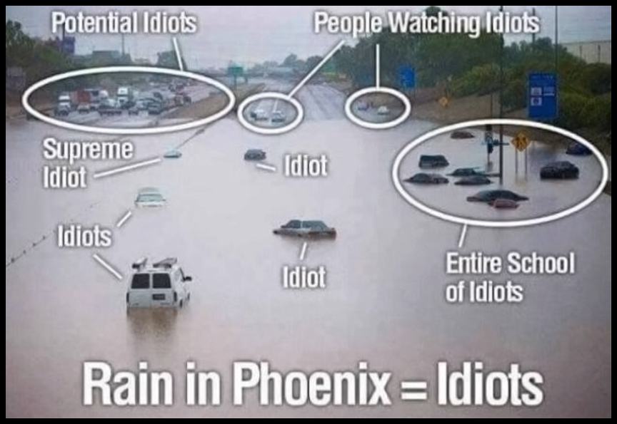 Obrázek Rain In PhoeniX