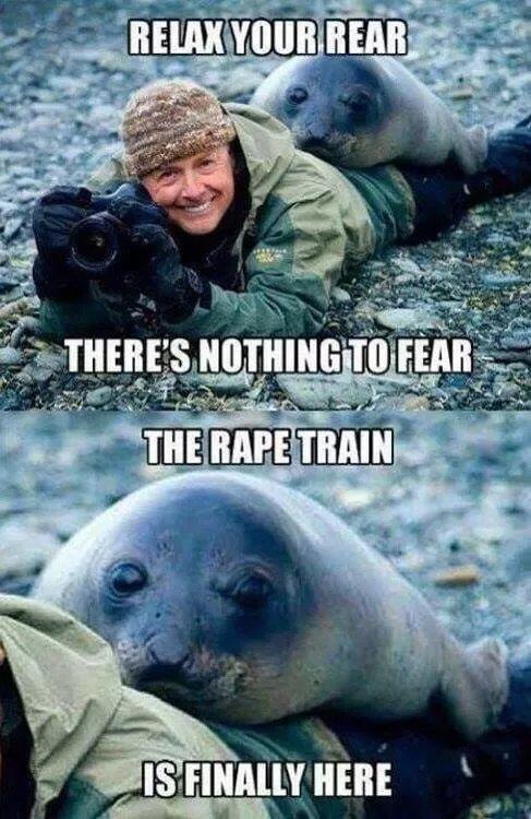 Obrázek Rape train seal