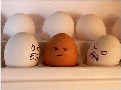 Obrázek Rasisticka vejce