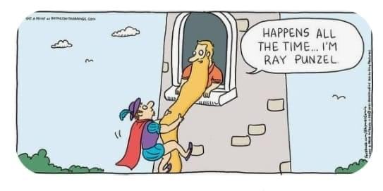 Obrázek Ray Punzel