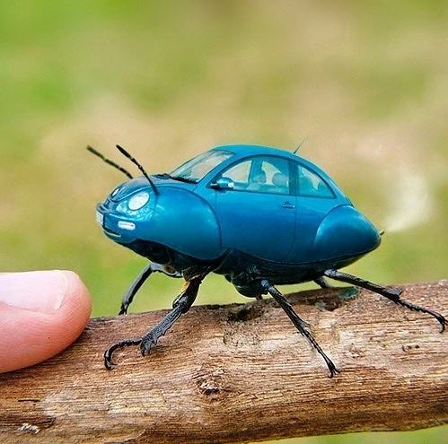 Obrázek Real Beetle - 16-04-2012