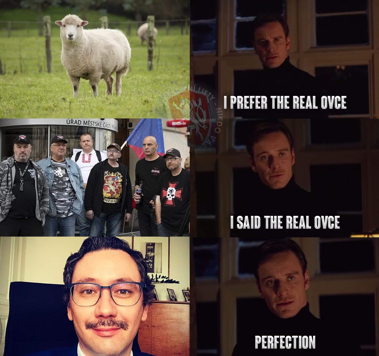 Obrázek Real&nbsp;ovce
