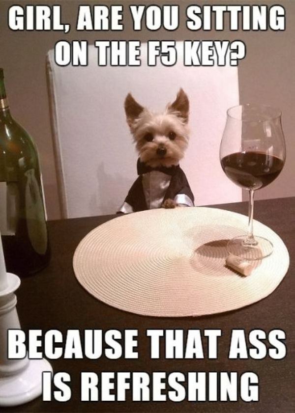 Obrázek Refreshing977