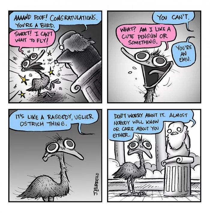 Obrázek Reinkarnace ostrich