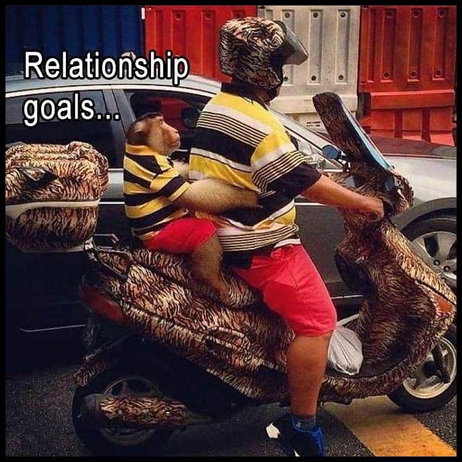 Obrázek Relationship Goals For Mee