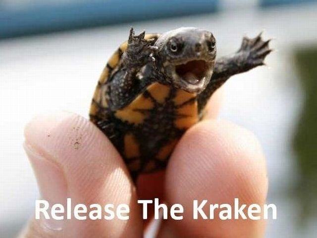 Obrázek Release The Kraken