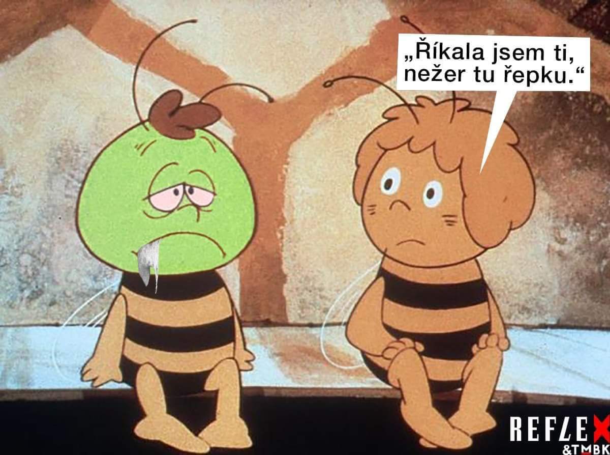 Obrázek Repka-Vilik