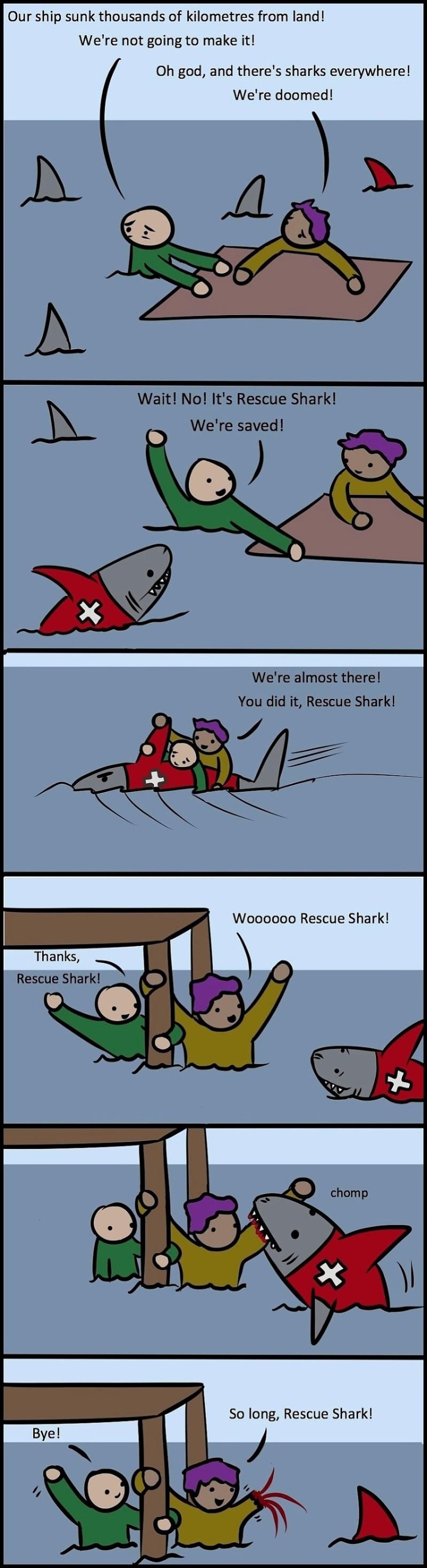 Obrázek Rescue-Shark 