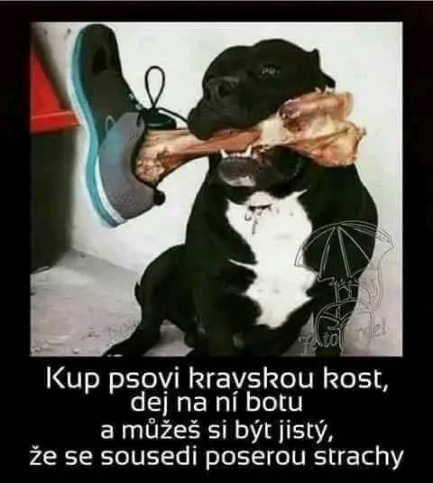 Obrázek ReseniProVaseSousedy