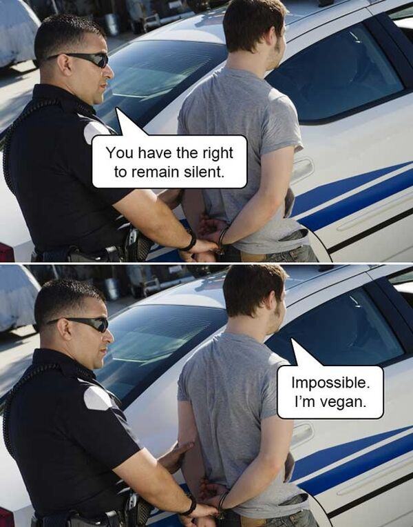 Obrázek Right to remain silent