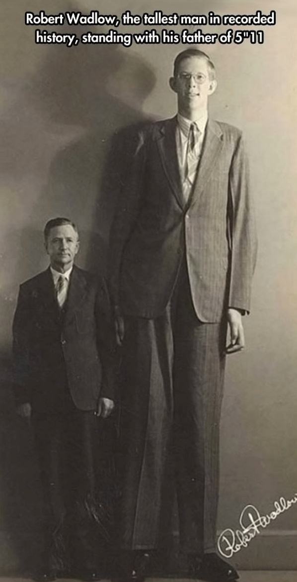 Obrázek Robert Wadlow