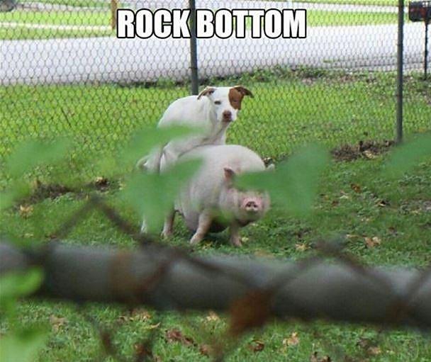 Obrázek Rock Bottom2152