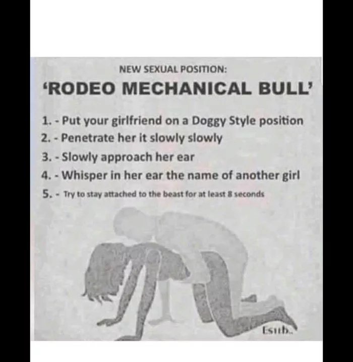 Obrázek Rodeo-Bull