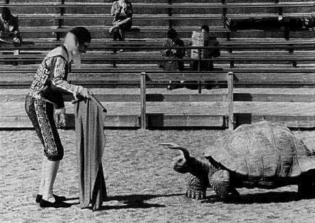 Obrázek Rodeo