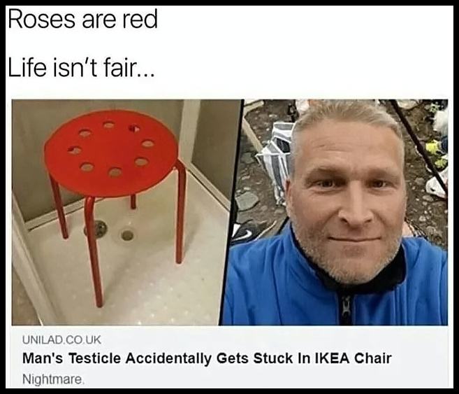 Obrázek Roses are red Iife is not fair
