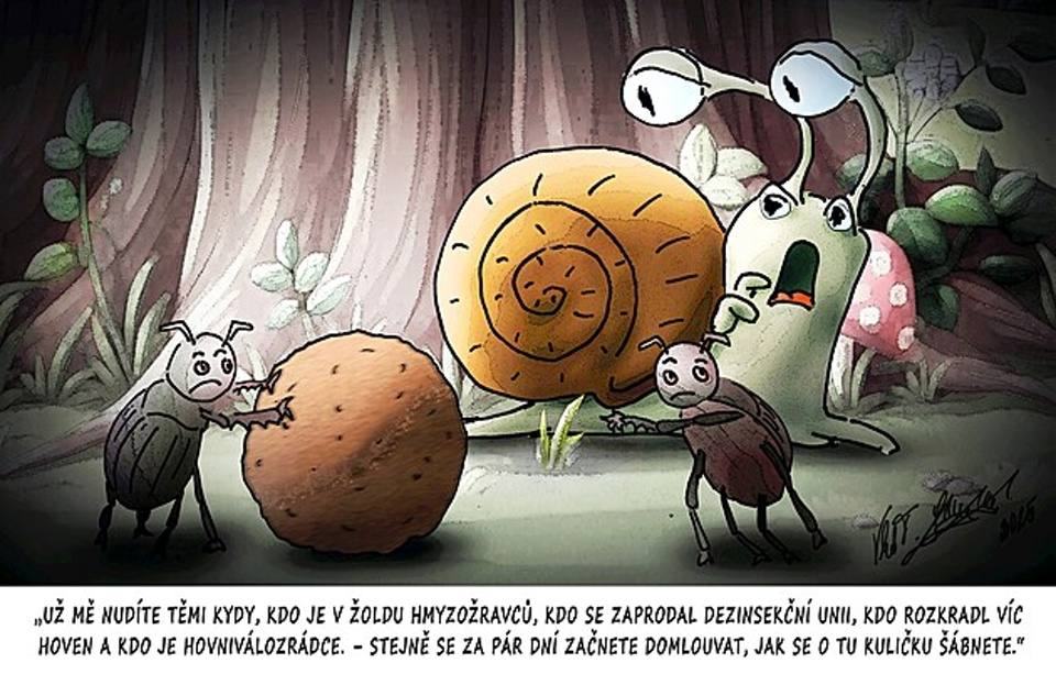 Obrázek Roumingovsti hovnivalove