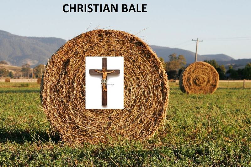 Obrázek Round hay bale at dawn