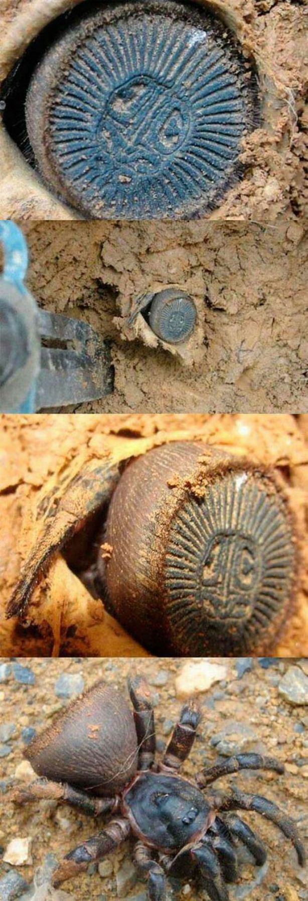 Obrázek Run&nbsp;For&nbsp;Your&nbsp;Life5845