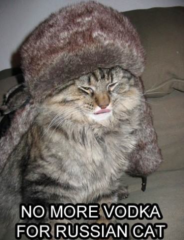 Obrázek Russian cat