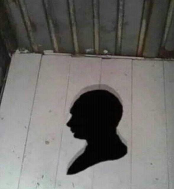 Obrázek Russian outhouse