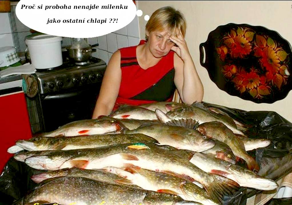Obrázek Rybarova zena