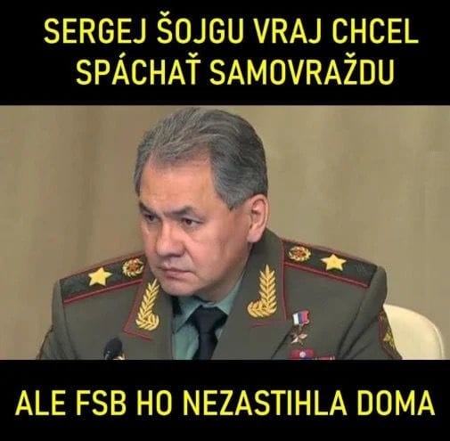 Obrázek SHOYGU&nbsp;FBS