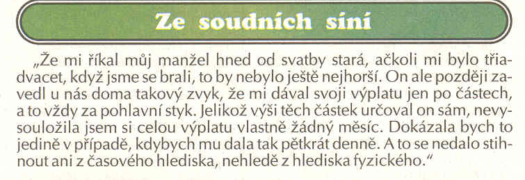 Obrázek SOUDNI SIN1