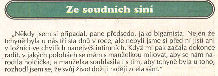 Obrázek SOUDNI SIN2